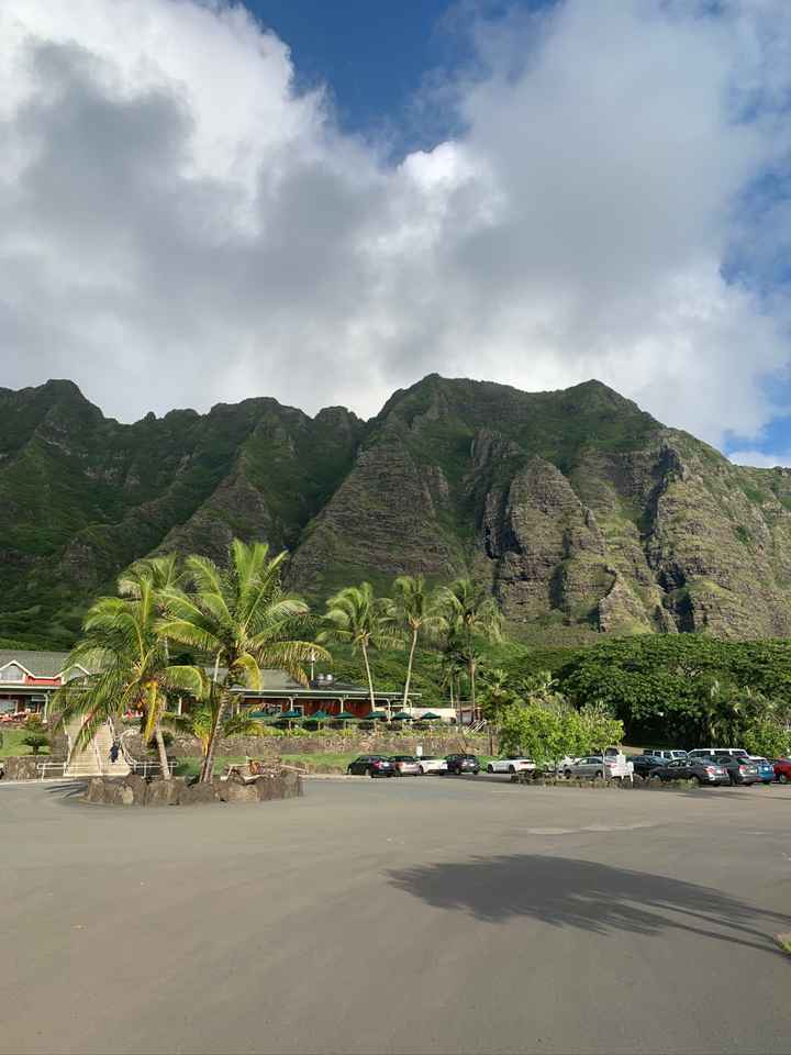 a Hawaiian Honey Moon! - 1