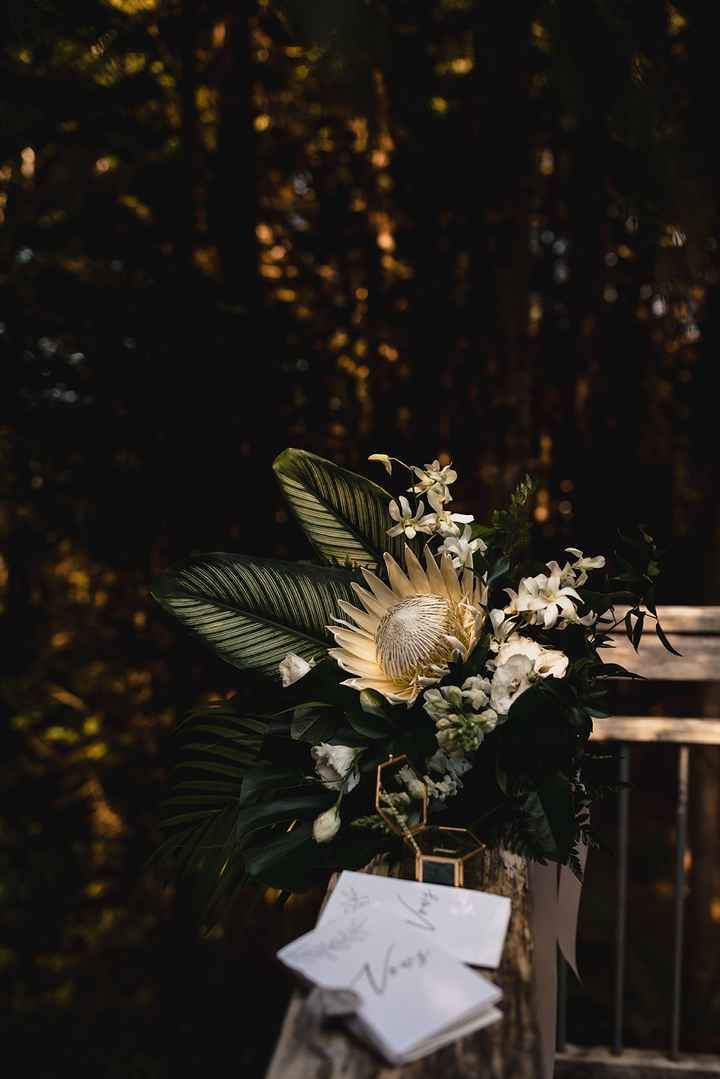 Wedding Photos bam 8.23.21 (a lot of professional photos) - 2