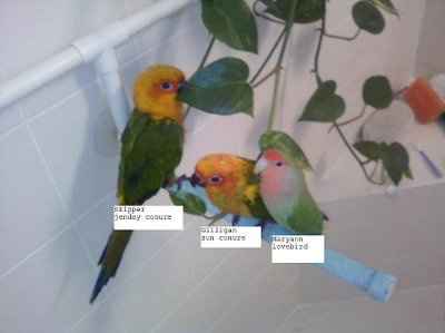 Let's get to know each other ladies!