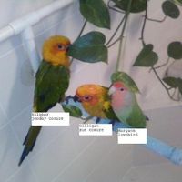 Let's get to know each other ladies!