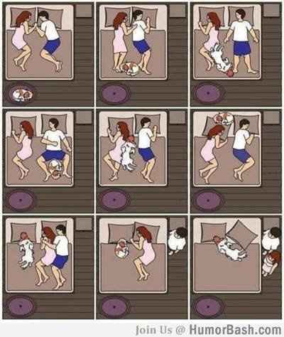 Just for fun, lets see your crazy pet child....