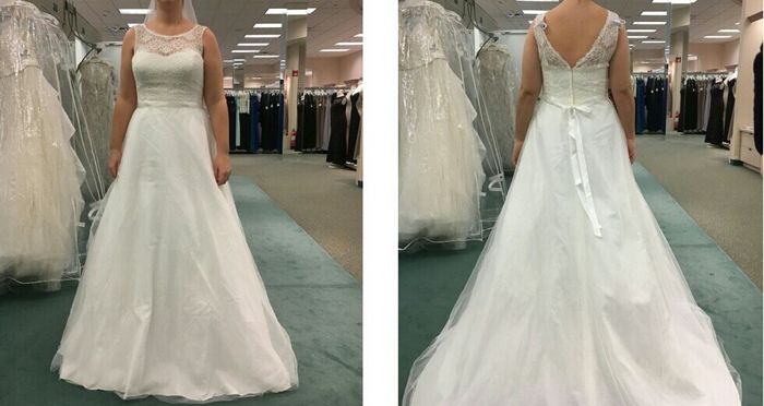 Davids Bridal Dresses!