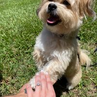 Brides of 2021! Show us your ring! - 1