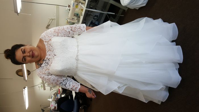 Plus Size Undergarments