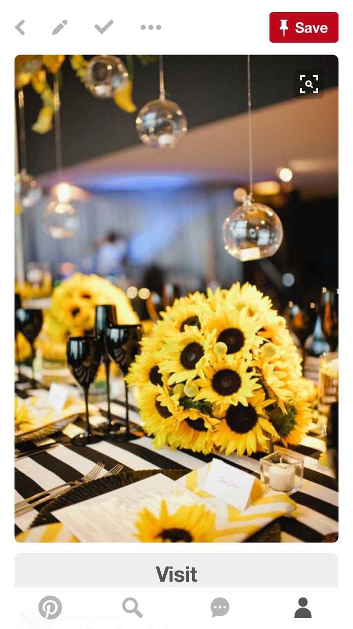 Themes & Colors