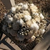 Sola Flowers--- anyone used them??