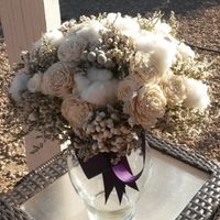 Sola Flowers--- anyone used them??