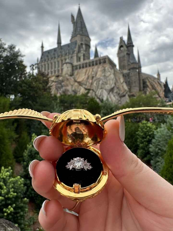 2024 Brides - Show us your ring! - 1