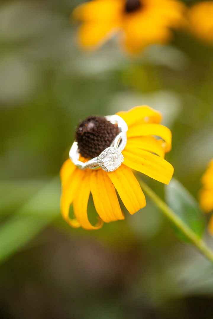 2024 Brides - Show us your ring! - 1