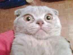 FH kicked out of wedding (someone else's wedding)