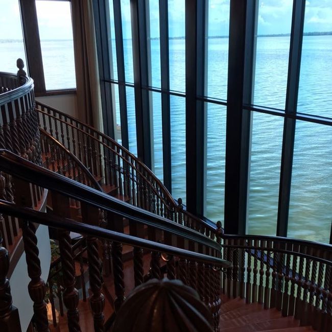 What backdrop are you using?