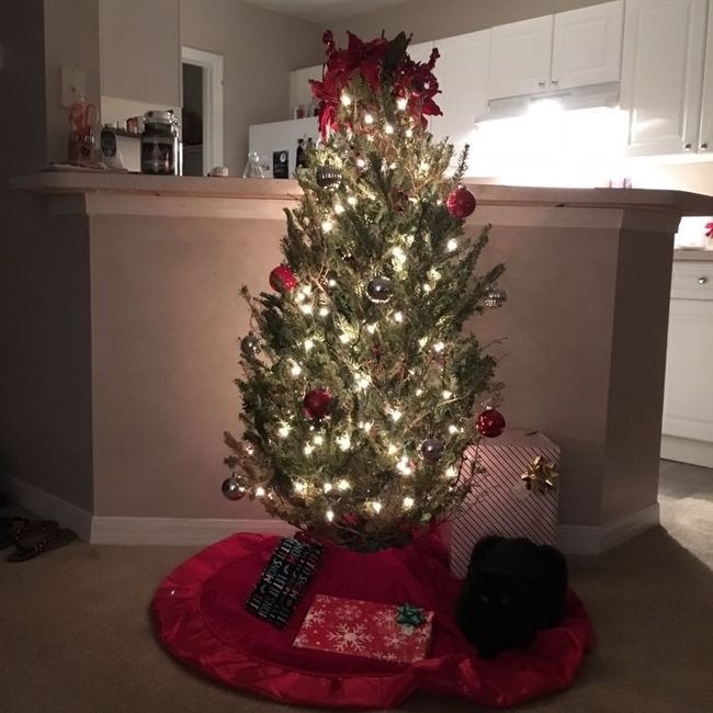 NWR: Christmas tree/holiday decor