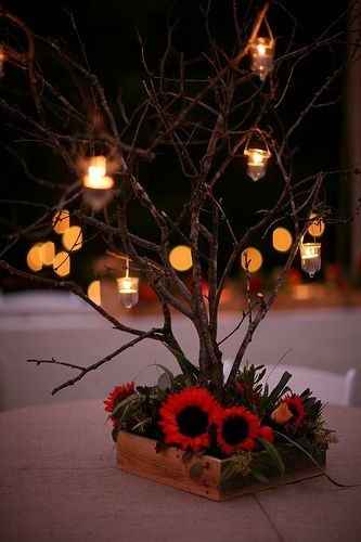 Centerpiece Opinions