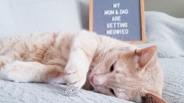 Engagement announcement ideas 2