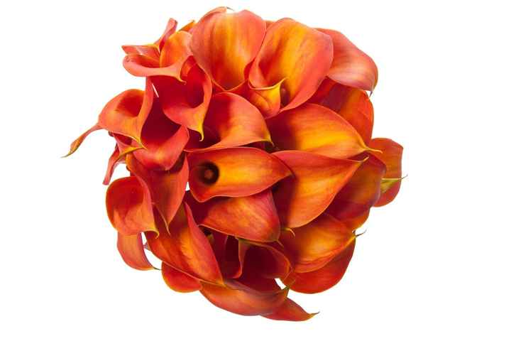 Show me your flower inspirations!