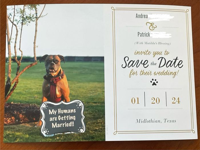 Meow And Furever: Incorporating Pets Into The Wedding 🐶🐱 1
