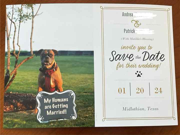Meow And Furever: Incorporating Pets Into The Wedding 🐶🐱 - 1