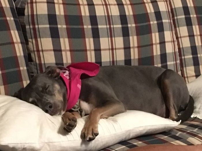NWR: Show me your pups!