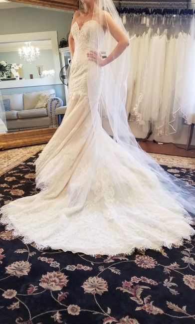 Straps or no straps? - 2