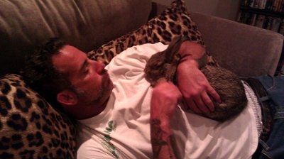 NWR: Furry Friends