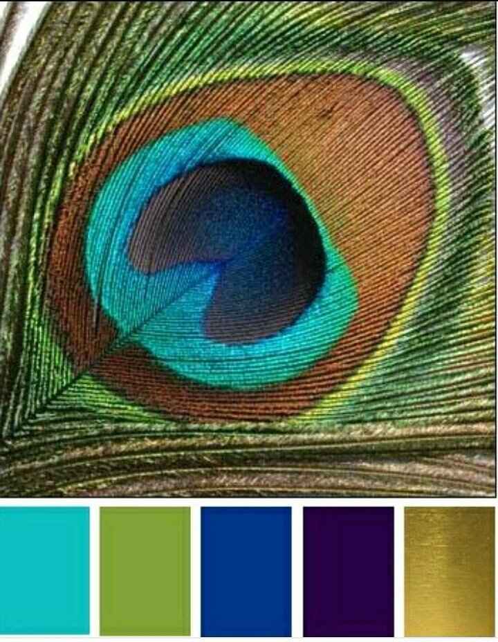 How many wedding colors? - 1
