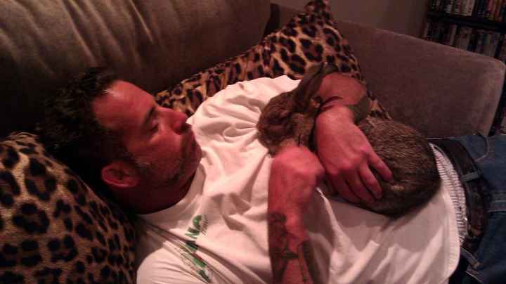 Do you and your FH have a pet?