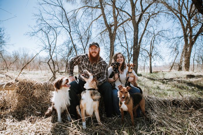 Engagement photos w/ dogs - 1
