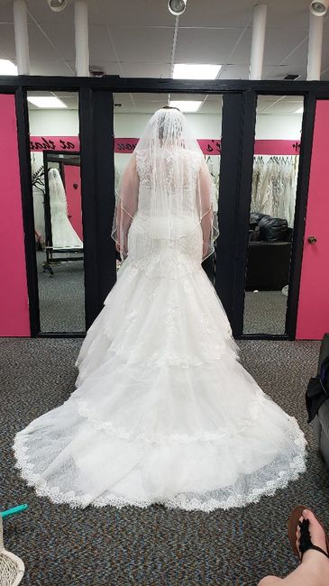 Let's See Your Dresses! 13