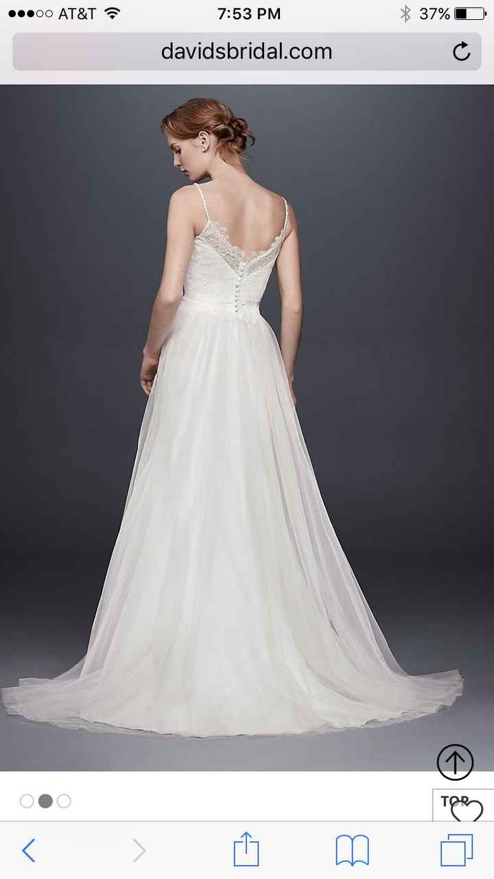  The Dream Dress? - 1