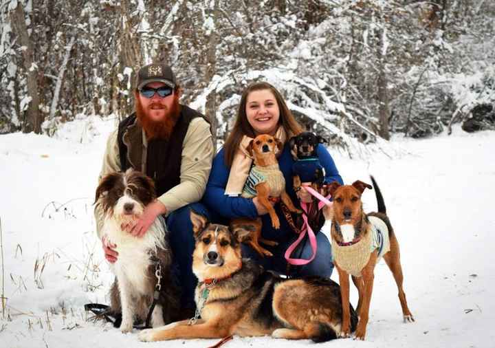 Any pet related stories? - 1