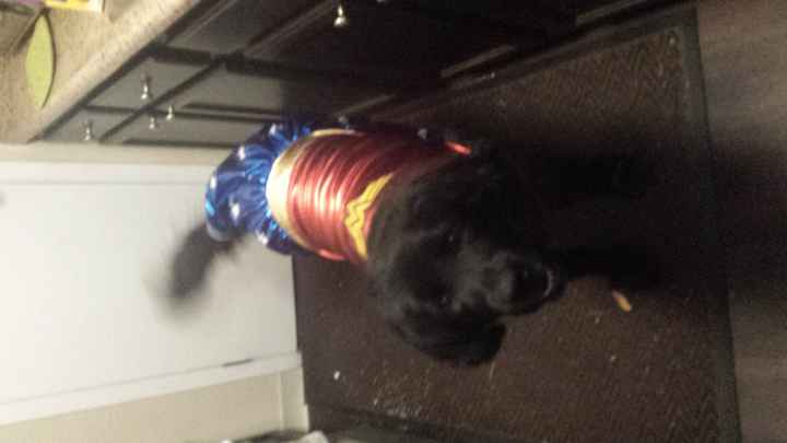 NWR Show us your Halloween Pets!