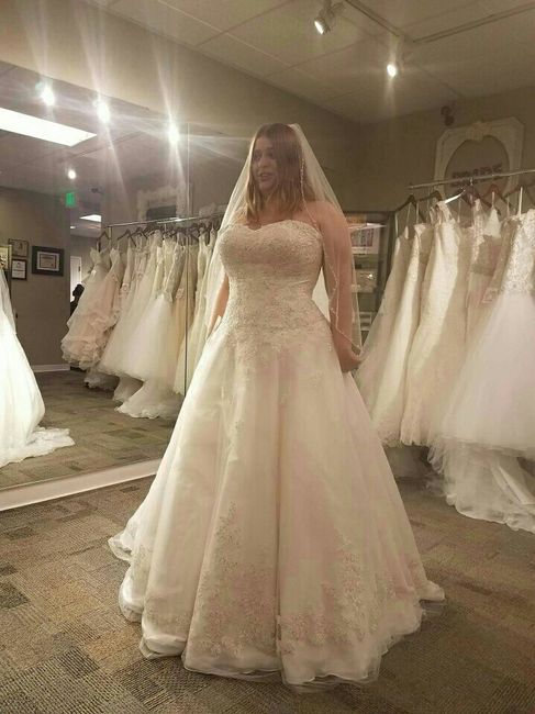 My dress came in!!!!