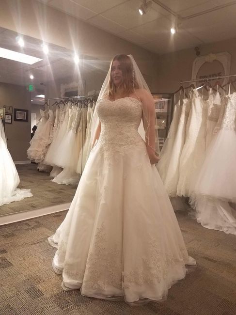 Plus size brides..