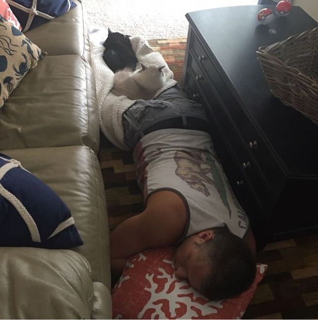 Break from the election!