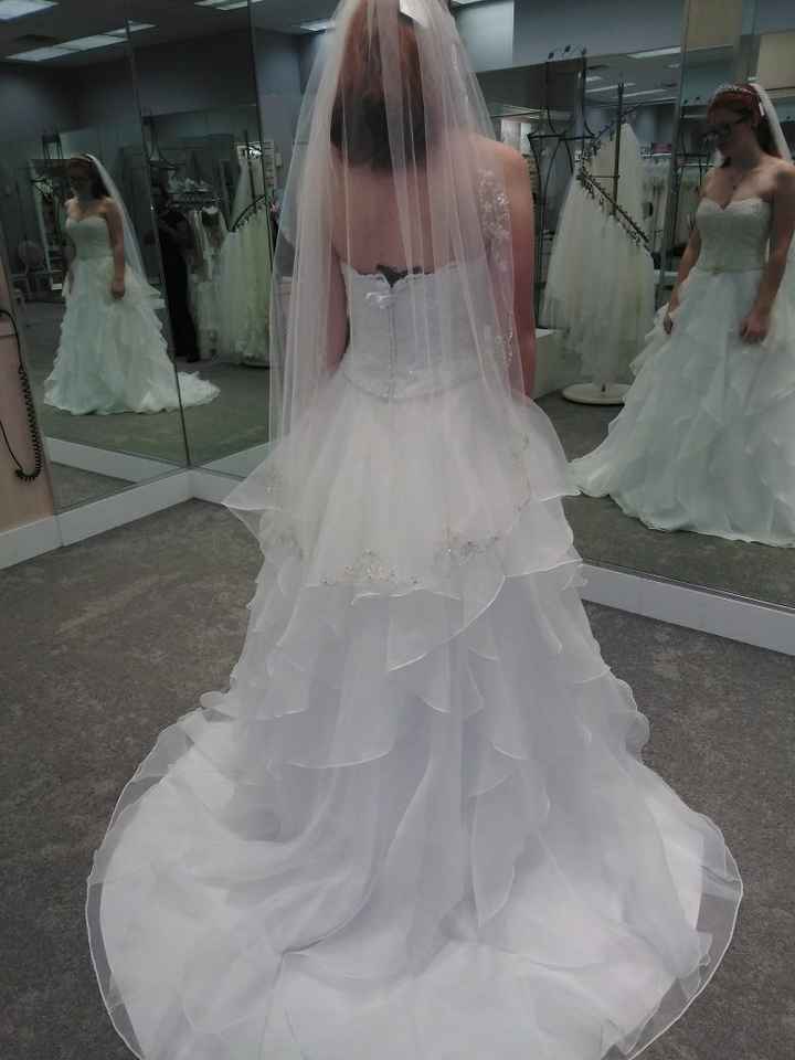 David's Bridal Brides! - 2