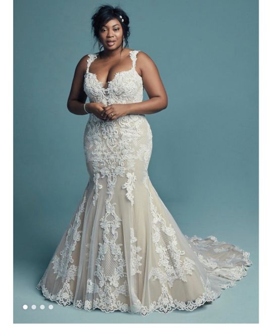 Used wedding dress? - 2