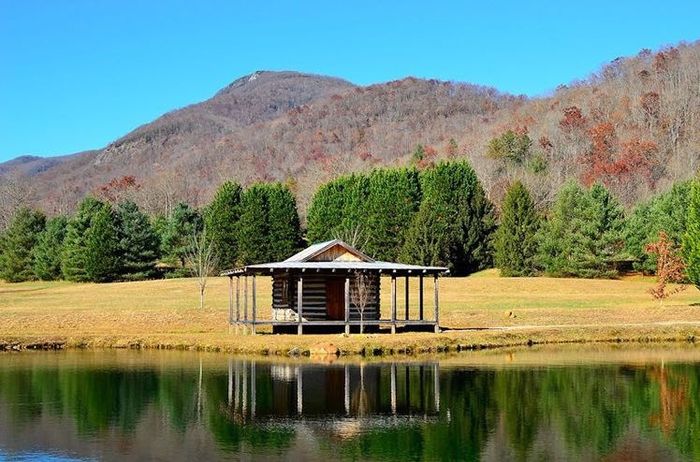 Can't pick between the dresses!