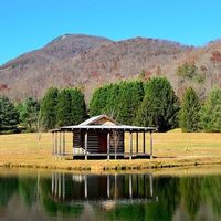 Can't pick between the dresses!