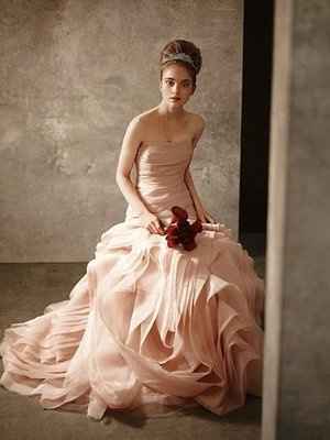 *For all brides that don't have a dress yet* Vera Wang has done a GORGEOUS collection for Davids Bri