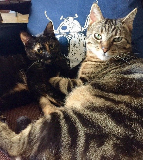 NWR:  Furbaby!