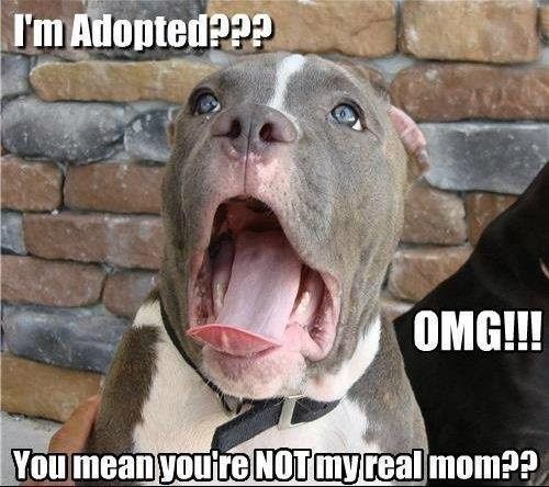 NWR: Just some laughs to get through the middle of the week!