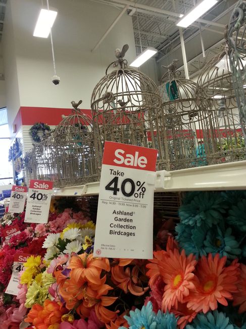PSA: @Ruby, birdcages on sale!