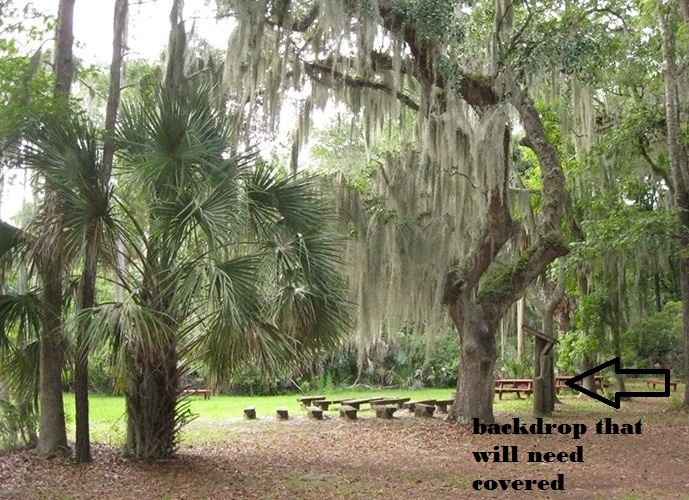 Simple Ceremony Decor