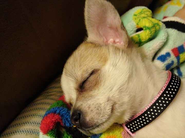 NWR: Help me convince FH....