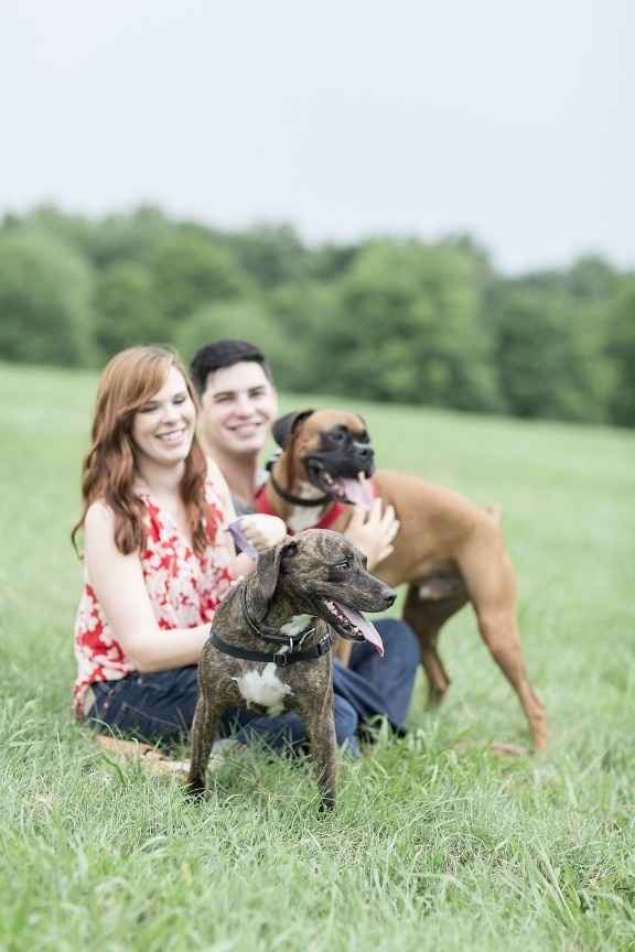 Fur babies with engagement/wedding photos