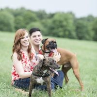 Fur babies with engagement/wedding photos