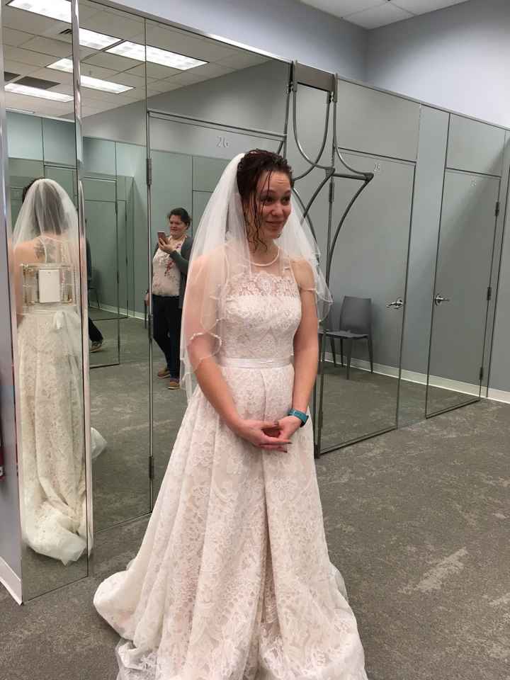 i found my dress!!!! i would love to see pictures of everyone else's!!! - 1
