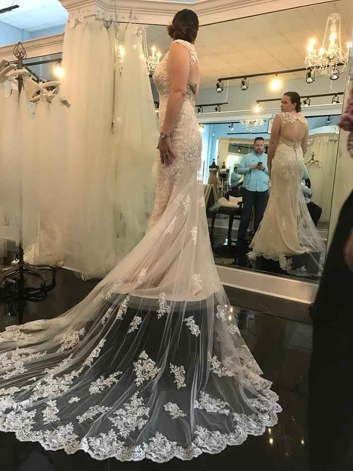 I found the gown!!!