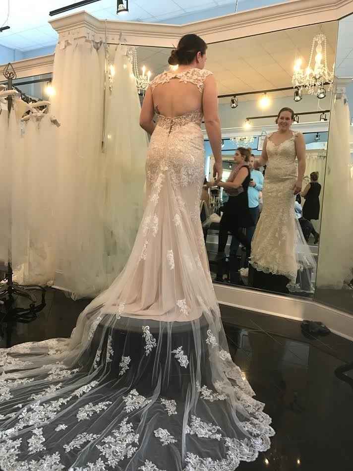 I found the gown!!!