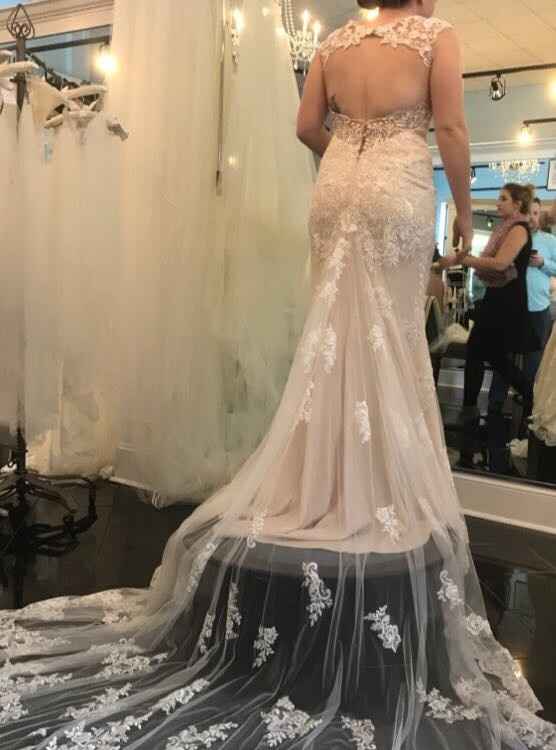 Saving up for the dress and dress ideas